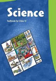 6th Class Science 