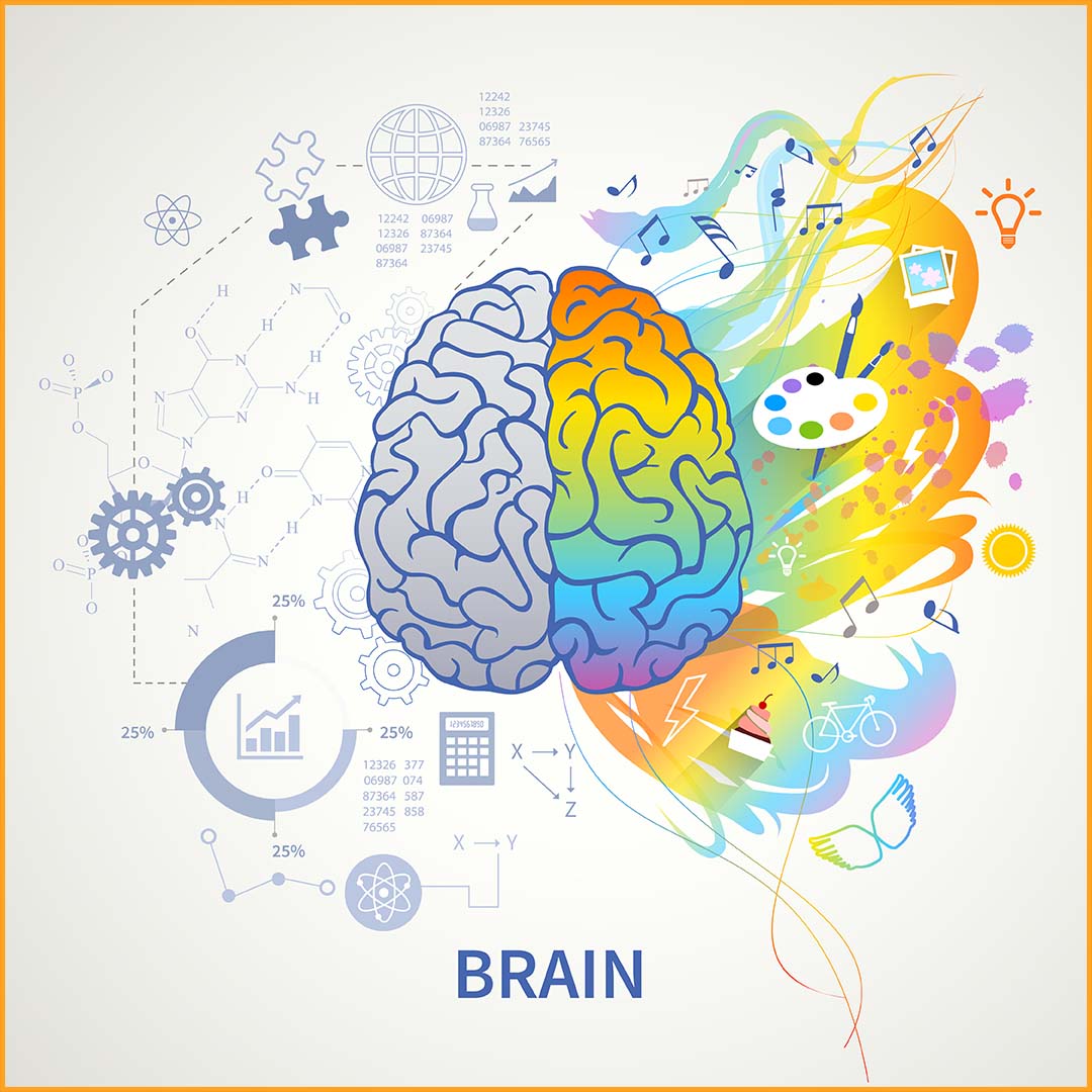 बुद्धिमत्ता