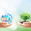 Our Environment - Class 10