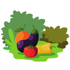 Natural Vegetation & Wildlife - Class 9