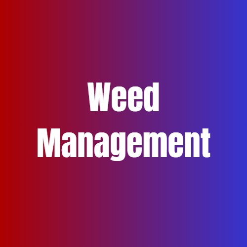 Weed Management