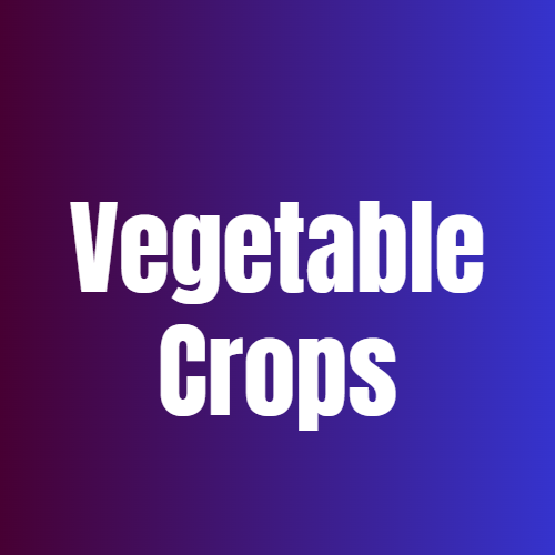 Vegetable Crops