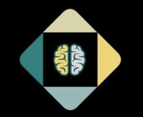 Online Mentorship Program