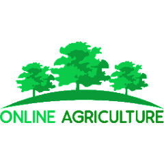 Test Series Logo